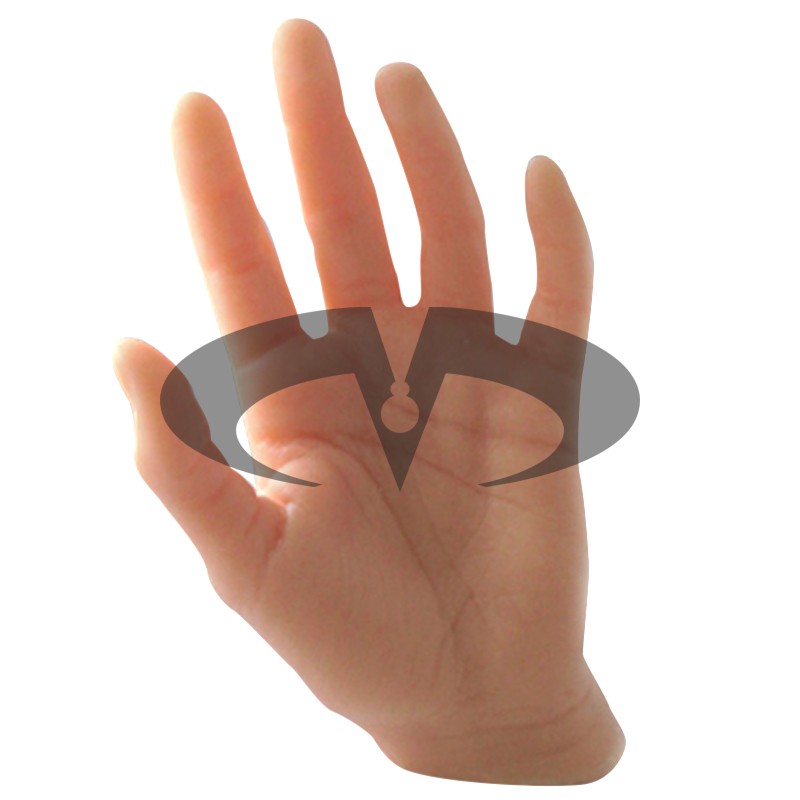 Arto Umano Iperealistico per Tattoo - Mano Sinistra - Modello 05