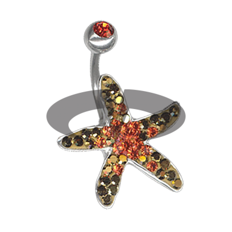 Crystal Starfish Titanium  01