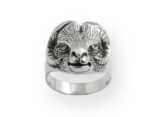 aries silver ring from wild collection